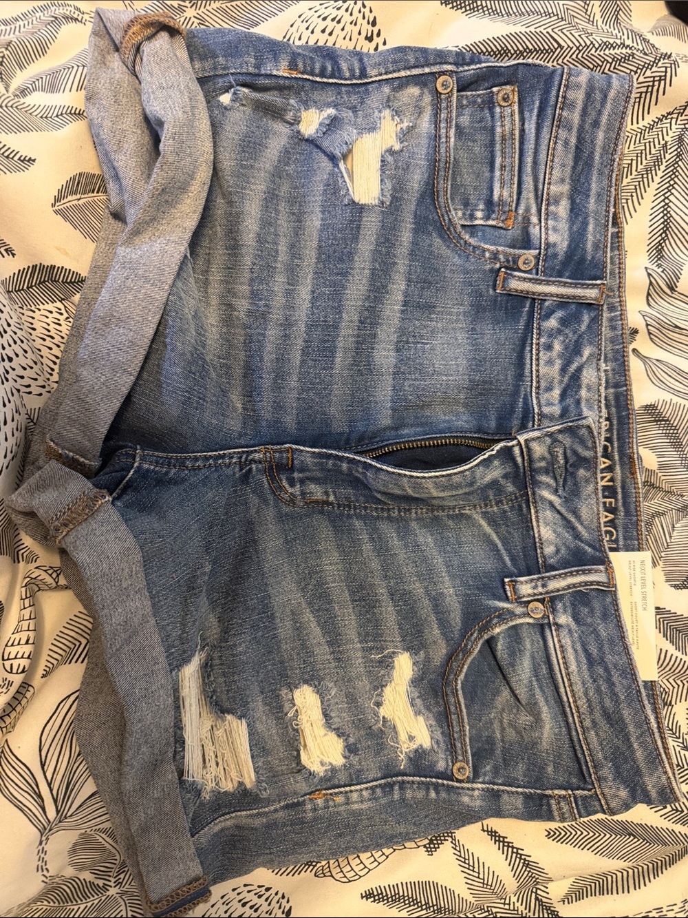 American Eagle Outfitters Light Blue Distressed Jean Shorts